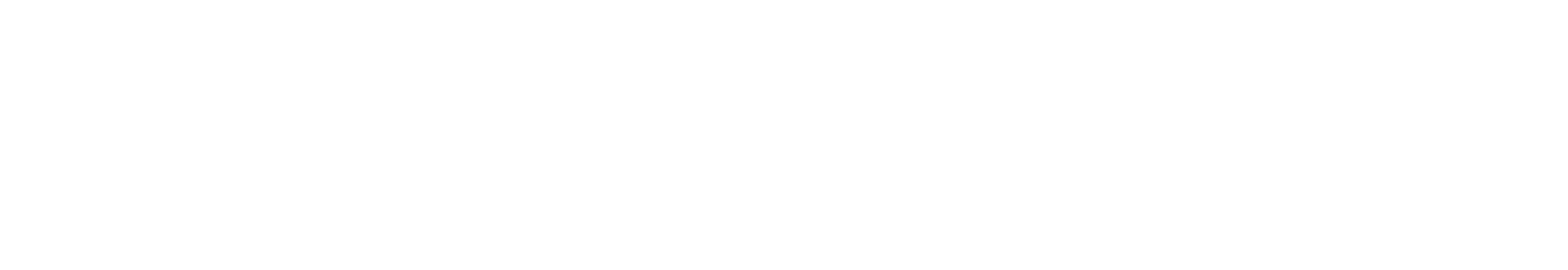 WeatherOptics_Wordmark_Logo-white-2